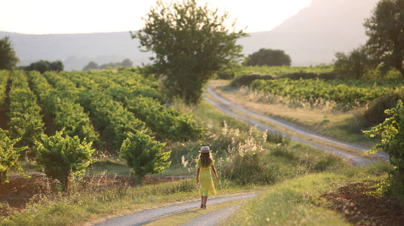 un été en provence
